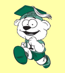 fitnessubearyellow fitnessubearyellow