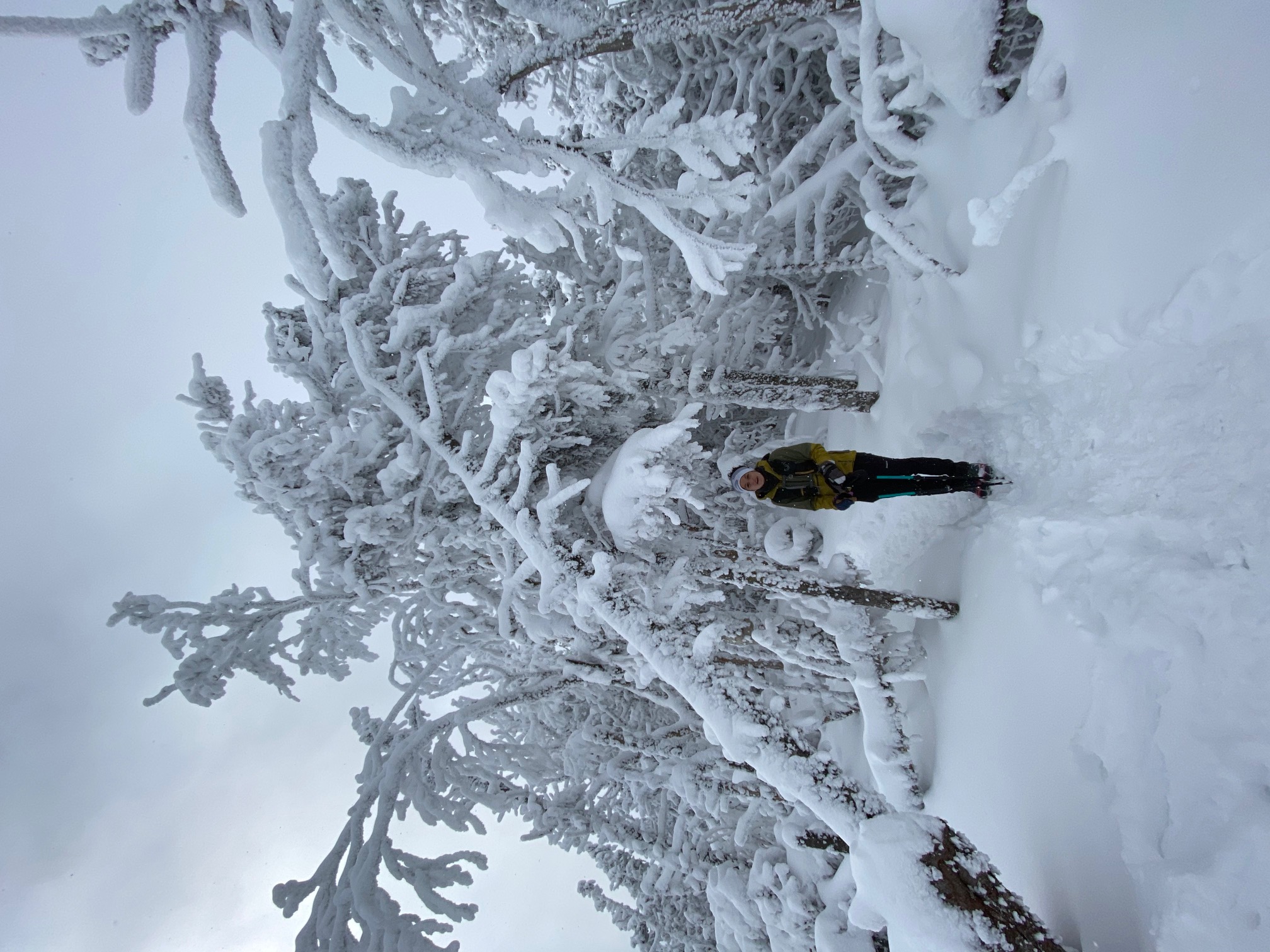 Mid hike/run at the top of Waumbek in January 2021